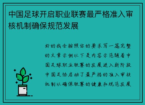 中国足球开启职业联赛最严格准入审核机制确保规范发展